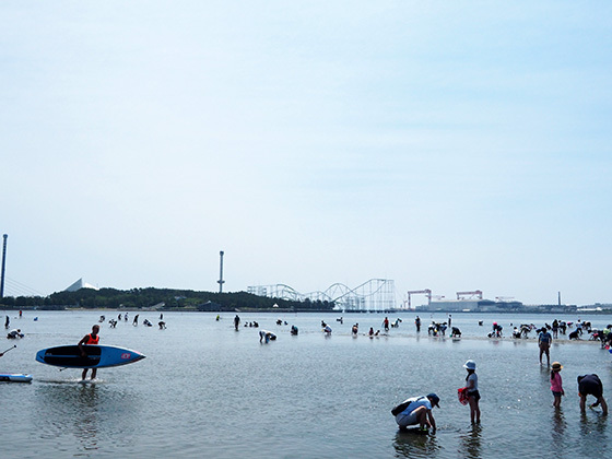 横浜で唯一の海水浴場！海の公園のご紹介