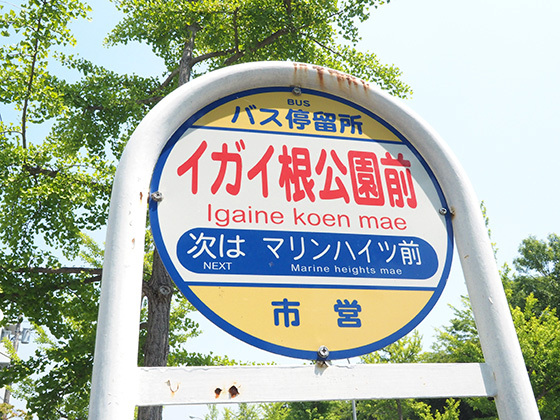 意外も意外なその名のわけ。横浜市金沢区「イガイ根公園前」バス停