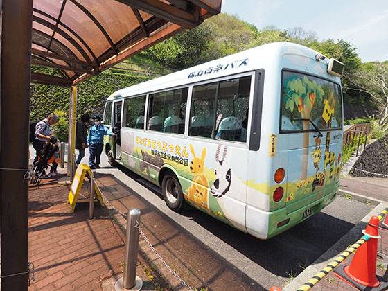 コアラバス 金沢 動物園 トップ